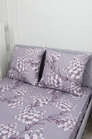 69eee6e9-d800-4311-8ce3-b342ab5e5417