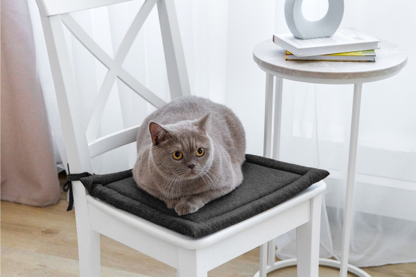 954b3bf2-4b0a-46cf-9591-e833908eea2b