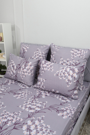 99a86bf5-37c4-4ce0-8314-d9c92e800200